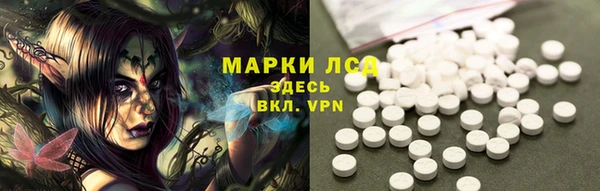 индика Зеленокумск
