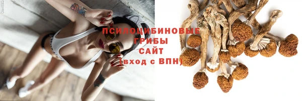 индика Зеленокумск