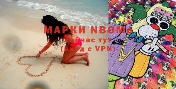 индика Зеленокумск