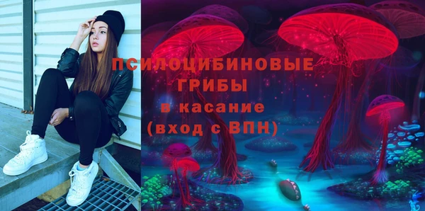индика Зеленокумск