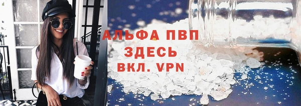 индика Зеленокумск