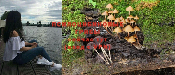марихуана Заводоуковск