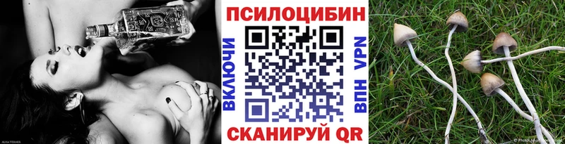 Купить  Калининск  Галлюциногенные грибы ЛСД 