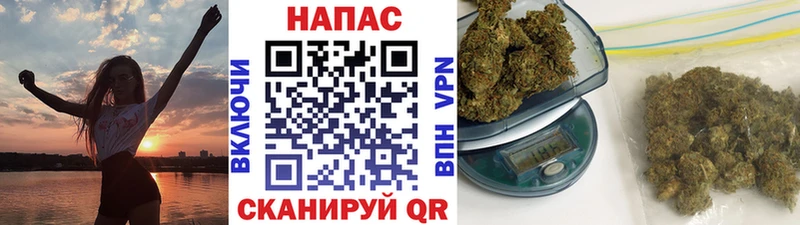 Купить закладки  Калининск  Конопля сатива 